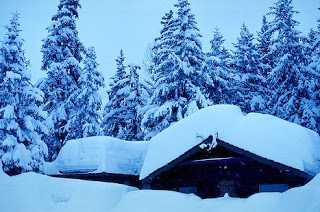 50% OFF Rooms – Cabin Fever Month