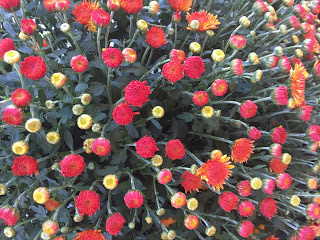 3 Best Ways to Rejuvenate Yourself in the Fall