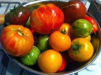 Tomatoes – Tomahtoes…gone for the year!